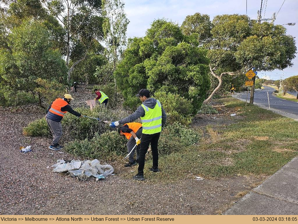 Cleanliness Drive - Australia