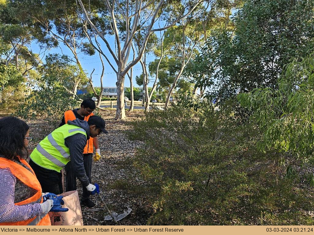 Cleanliness Drive - Australia