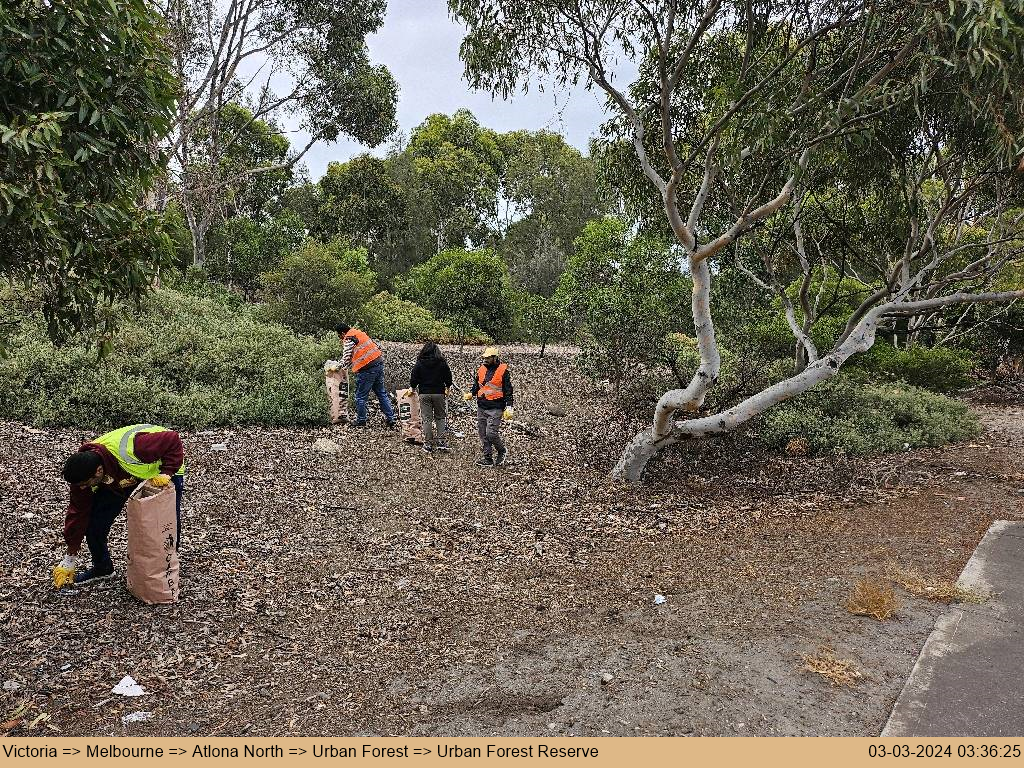 Cleanliness Drive - Australia