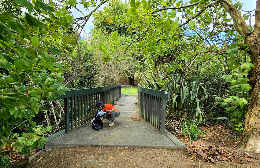 Cleanliness Drive - New Zealand 2025