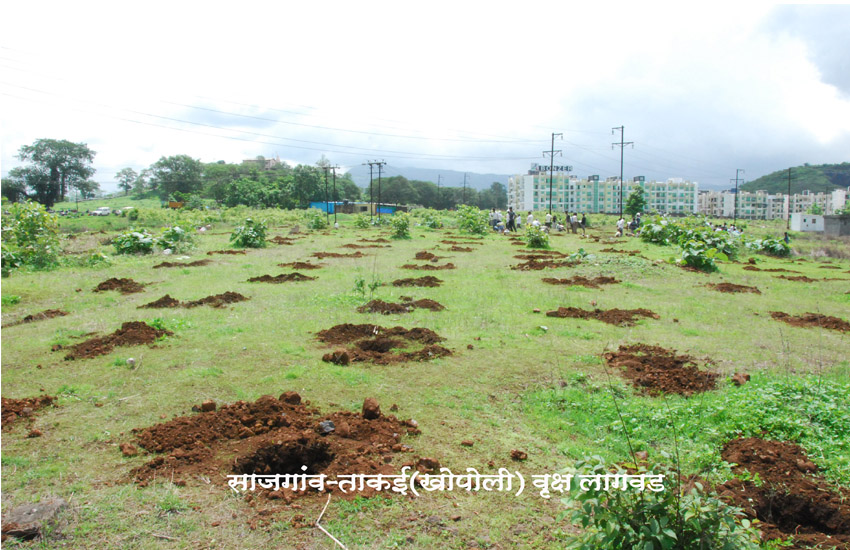 Tree Plantation Sajgaon Khopoli