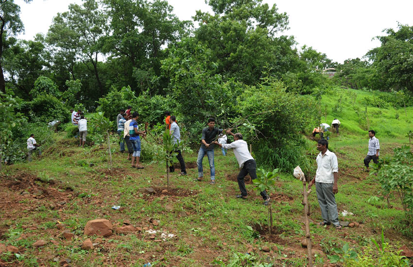 Tree Plantation Vasai Virar