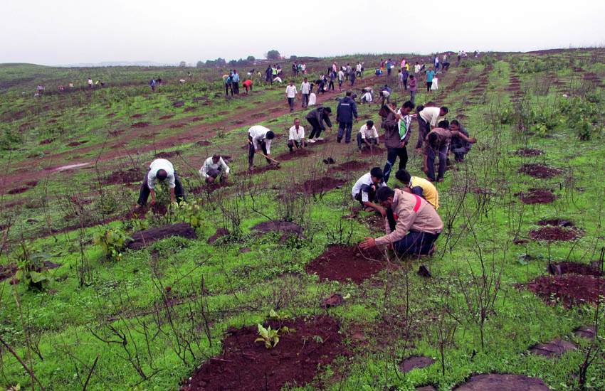 Tree Plantation Ambernath