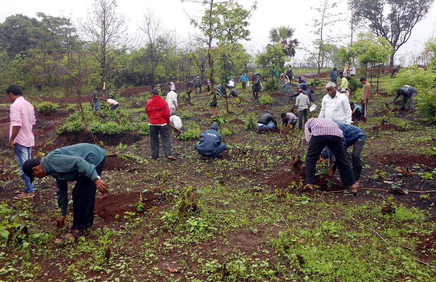 Tree Plantation Ambernath