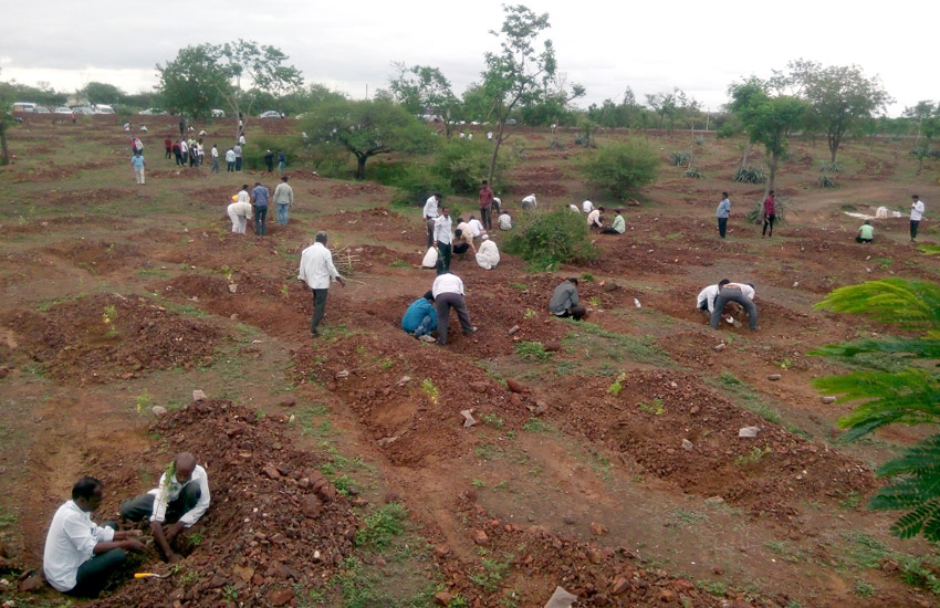 Tree Plantation Baramati