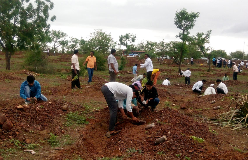 Tree Plantation Baramati
