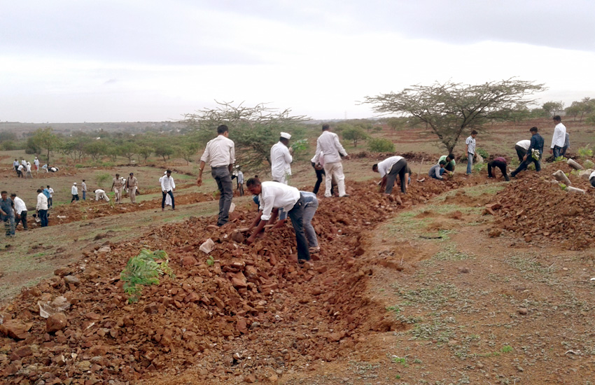 Tree Plantation Daund Pune