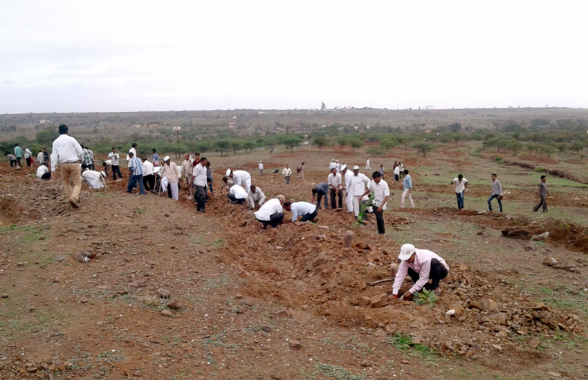 Tree Plantation Daund Pune