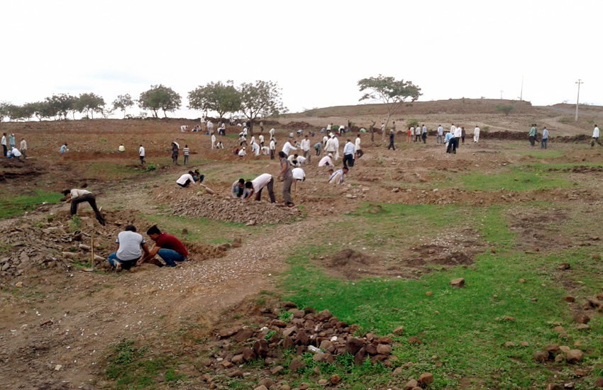 Tree Plantation Daund Pune
