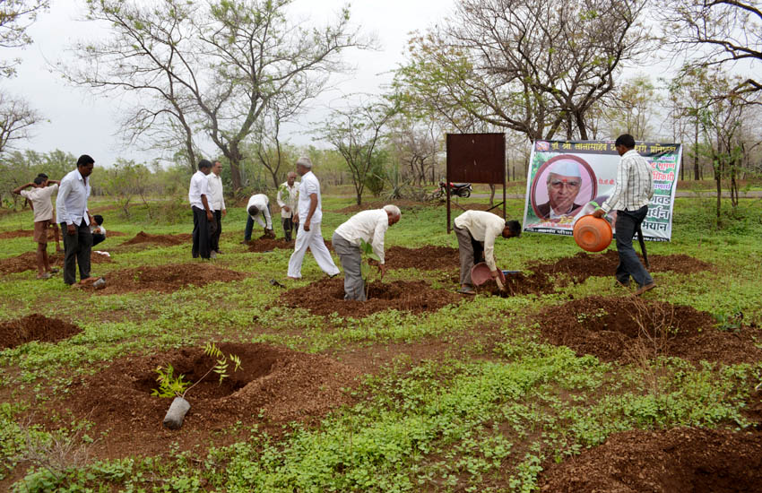 Tree Plantation Jamner