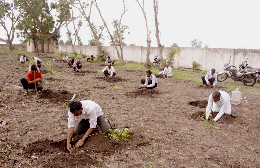 Tree Plantation Jamner