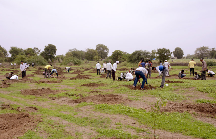 Tree Plantation Jamner