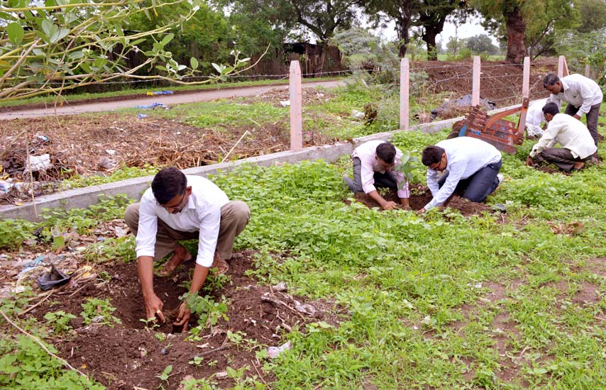 Tree Plantation Jamner