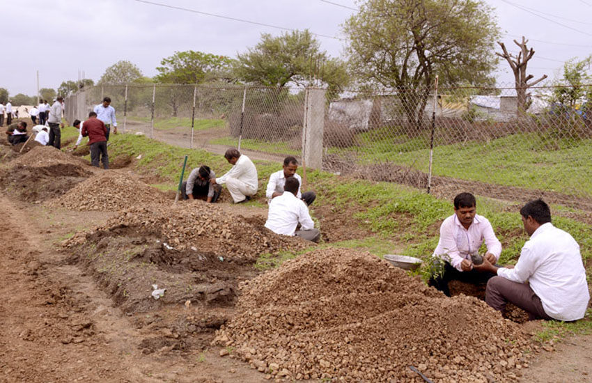 Tree Plantation Jamner