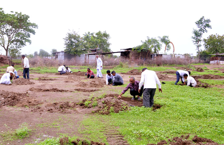 Tree Plantation Jamner