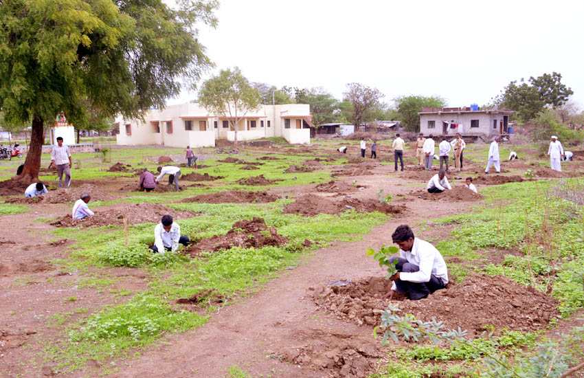 Tree Plantation Jamner