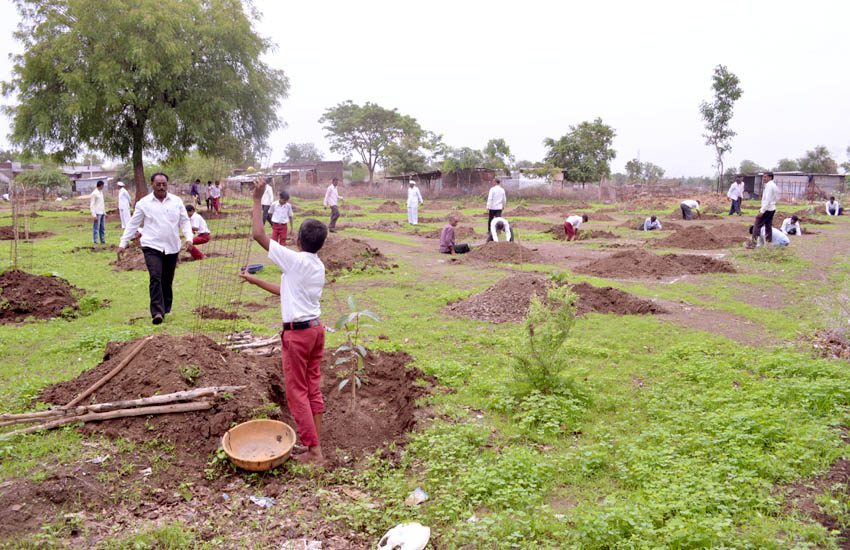 Tree Plantation Jamner