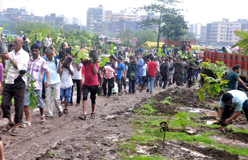 Tree Plantation Mumbra-Thane