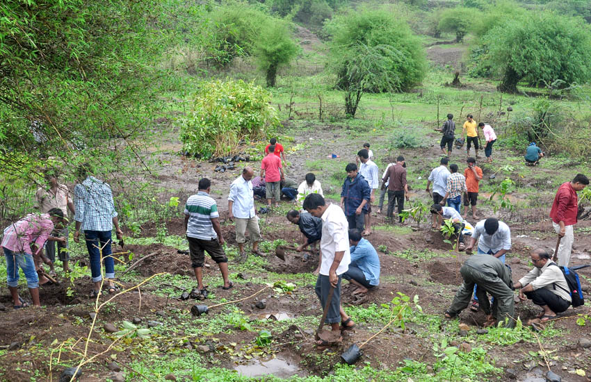 Tree Plantation Mumbra-Thane