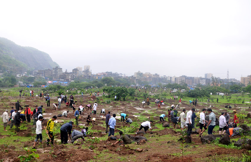 Tree Plantation Mumbra-Thane