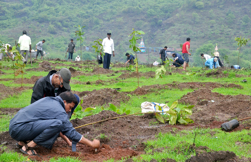 Tree Plantation Mumbra-Thane