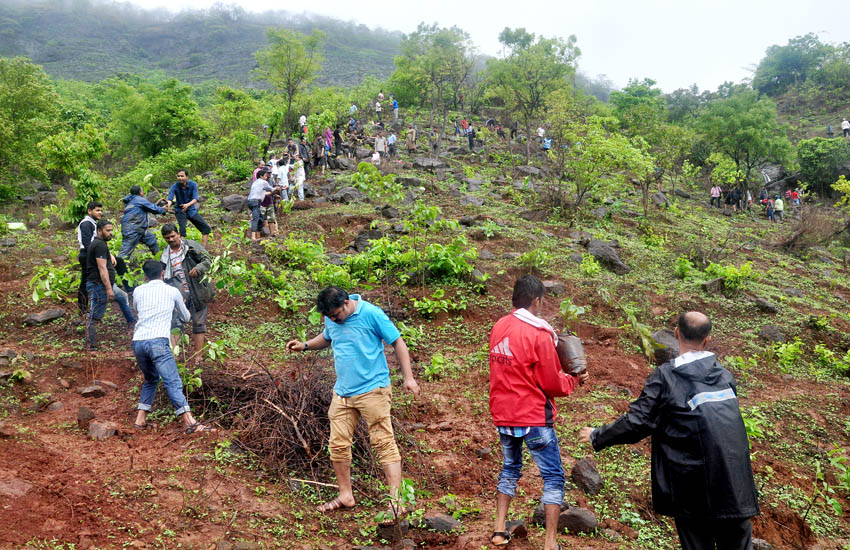 Tree Plantation Mumbra-Thane