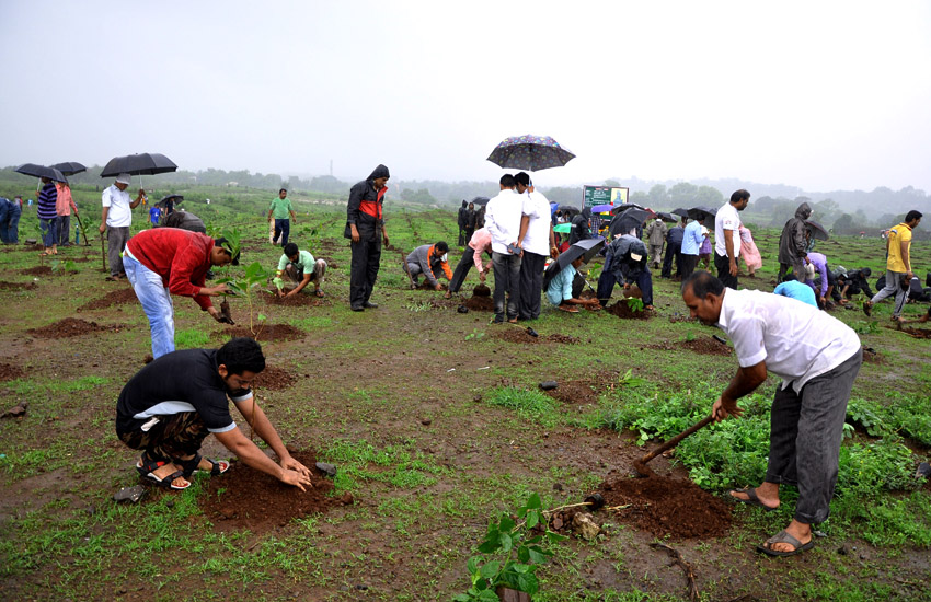 Tree Plantation Pen