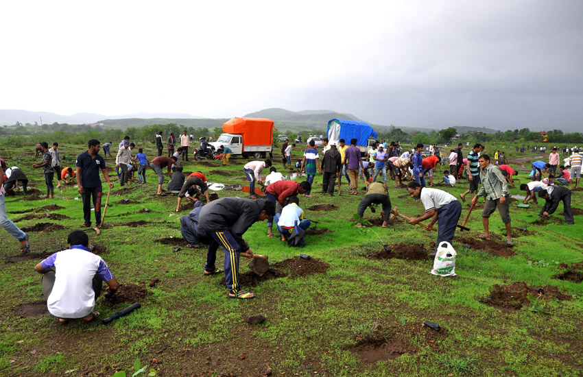 Tree Plantation Pen