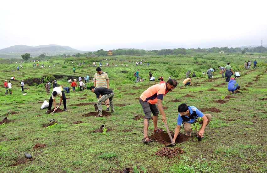 Tree Plantation Pen