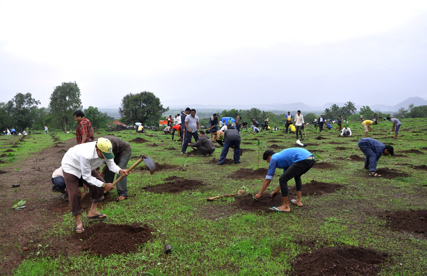 Tree Plantation Pen