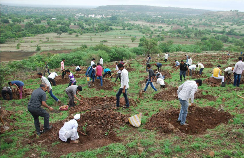 Tree Plantation Sangali