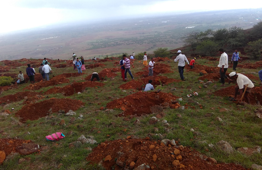 Tree Plantation Sangali