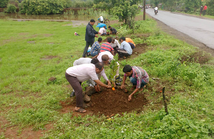 Tree Plantation Sudhagad Pali