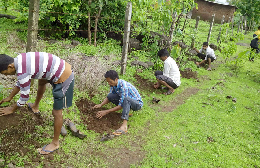 Tree Plantation Sudhagad Pali(Adulse)