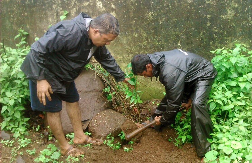 Tree Plantation Sudhagad Pali(Dahigaon)