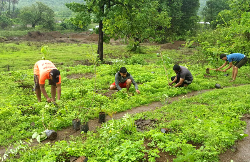 Tree Plantation Sudhagad Pali(Karchunde)