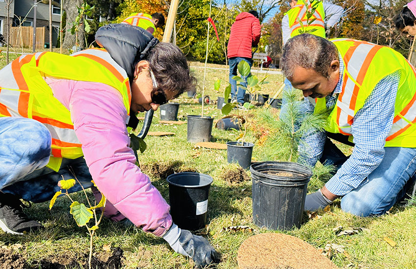 Tree plantation and conservation Drive in USA