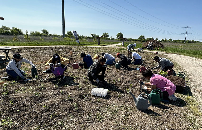 Tree Plantation USA