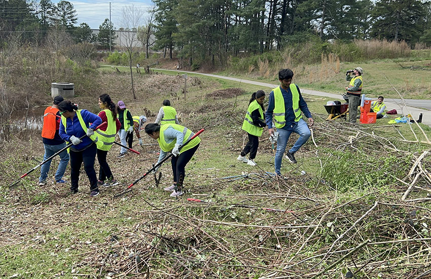 Tree Plantation USA