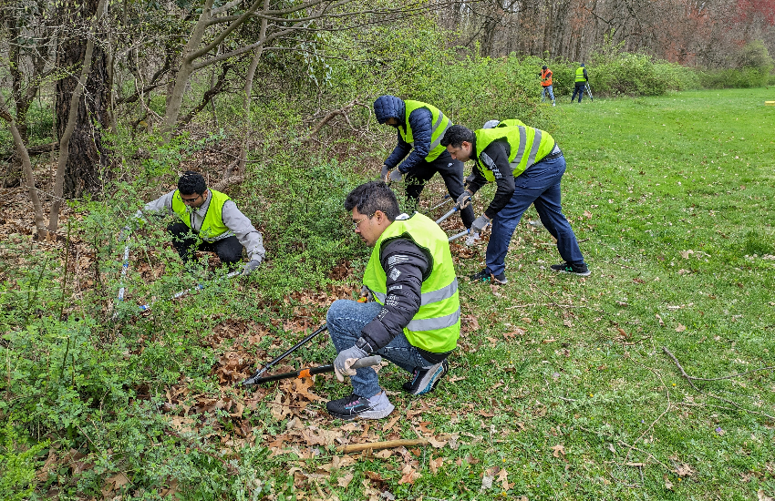 Tree Plantation USA